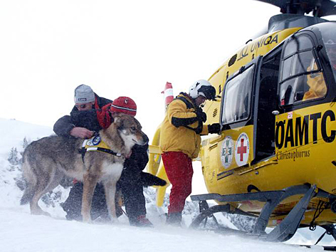 Lawinenhunde der Bergrettung werden in Hubschrauber verladen.
