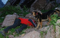 Suchhund der Bergrettung findet Vermissten (Übung).