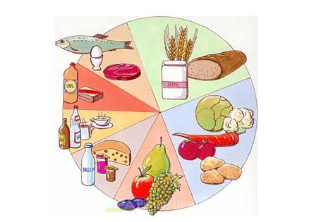 Ernährungsdiagramm
