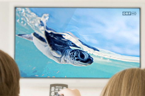 Menschen sitzen vor TV-Gerät, in dem man eine Schildkröte unter Wasser sieht