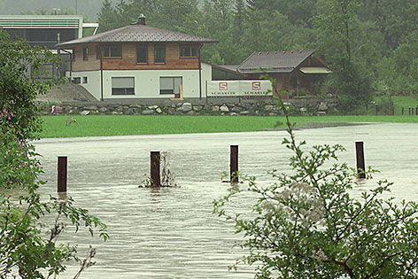 Überschwemmte Wiese bei Hochwasser