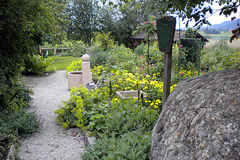 Der Kräutergarten in Anthering