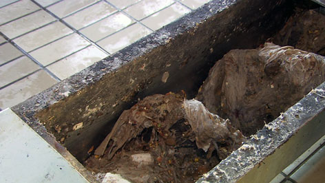 Müll beschädigt Kanalisation