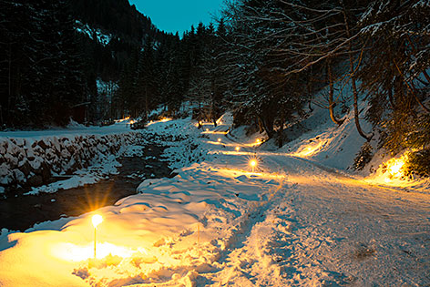 Winter-Waldweg in Leogang im Schnee