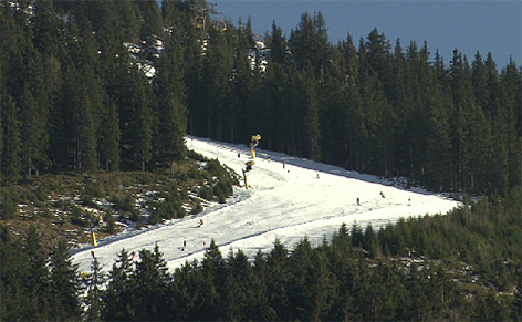 Schneemangel Pisten Kunstschnee Skifahren Ski