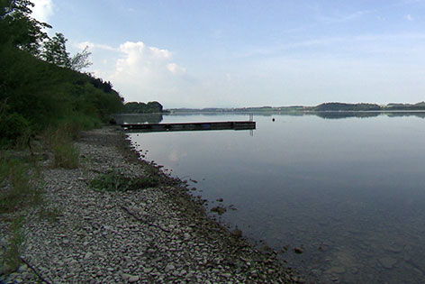 Blick über den Wallersee (Flachgau) mit Seeufer und Steg