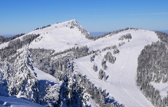 Gaißau Gaissau Hintersee Skischaukel Krispl Skifahren Winter Skifahren Wieserhorn Wieserhörndl Anzenberg Skitourismus Wintertourismus Schnee