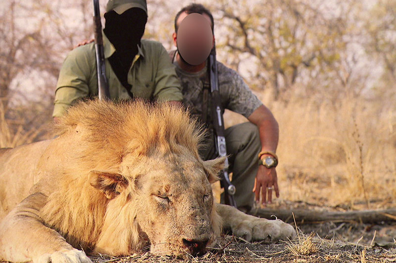 Jäger mit erlegtem Löwen auf Safari in Afrika
