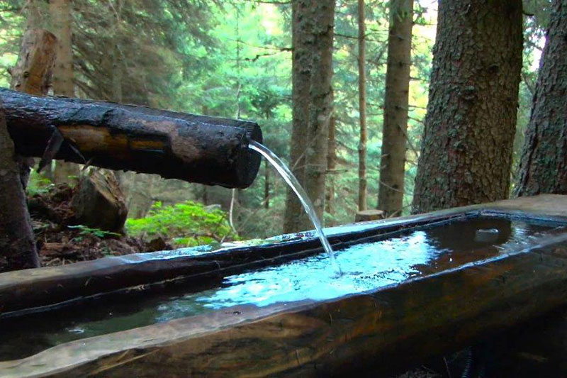 Brunnen im Wald