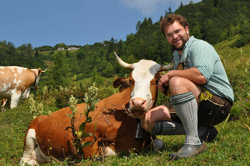 Senner Markus Nitzinger mit Kuh auf der Alm