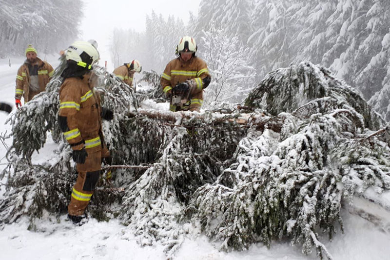 Feuerwehrleute zersägen umgestürzten Baum auf verschneiter Straße bei Schneefall