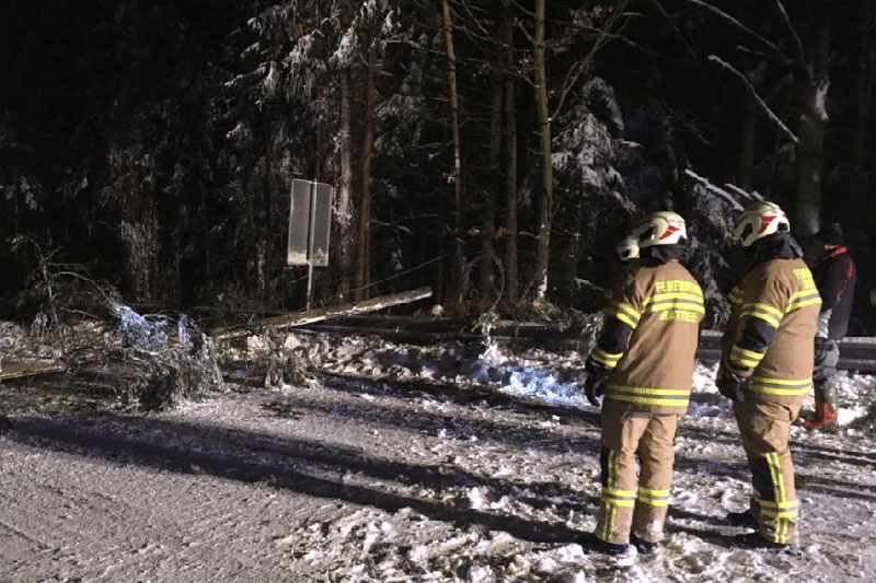 Feuerwehrleute in der Nacht mit Schnee und umgestürztem Baum