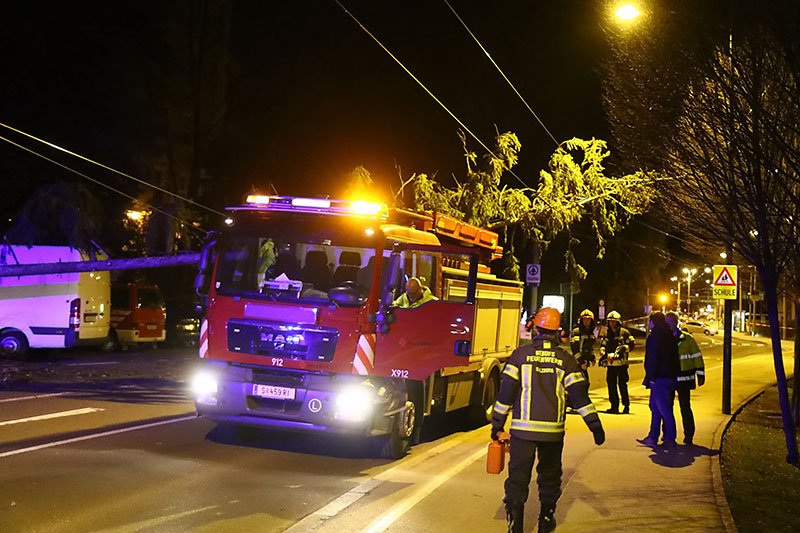 Feuerwehr mit umgestürzten Baum in der Nacht